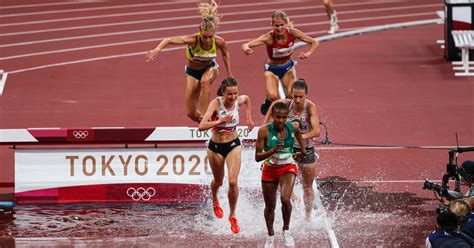 Olympic Steeplechase 2024 Mustang - Ilka Brandie