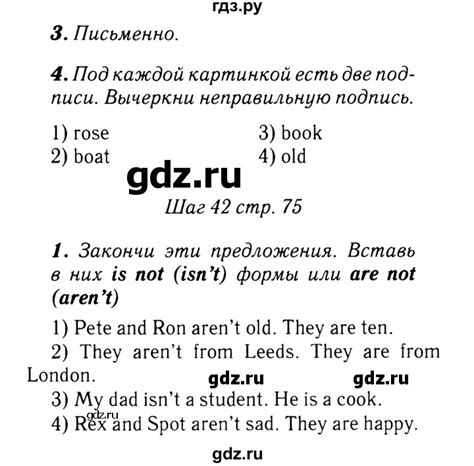 ГДЗ страница № 75 английский язык 2 класс рабочая тетрадь Rainbow ...