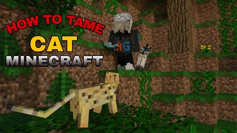 How To Tame Cat In Minecraft Minecraftpe Pocket Edition Youtube