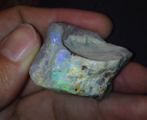 Opalized Fossils? Vertebrae? Dinosaur? Please And Thank You So Much For Any Help! :) - Fossil ID ...