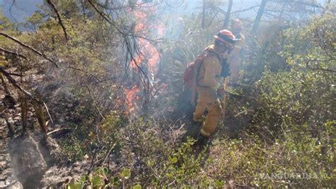 Avanza Control Del Incendio De Rayones Nuevo León