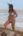 Liziane Gutierrez Flash Her Sexy Ass At Miami Beach Photos The