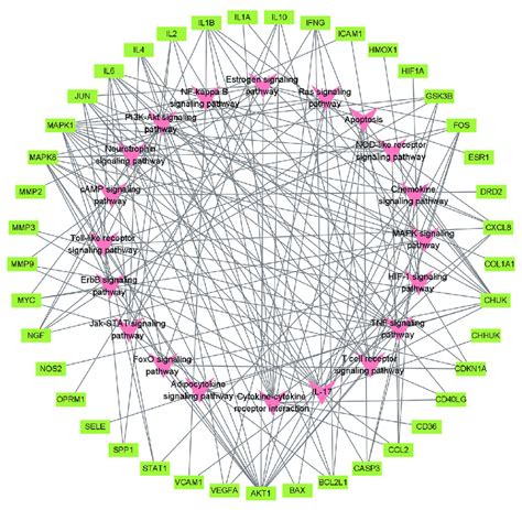 Target Pathway Network Enriched Pathways Are Denoted By Red Arrows And