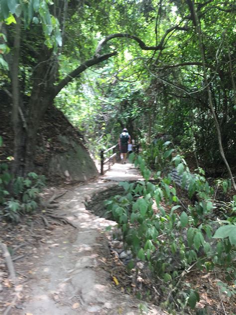 Colombia Día 7: Hiking into Parque Tayrona – Not a Wasted Word