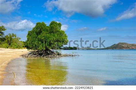 Beautiful Remote Beaches North Queensland Australia Stock Photo