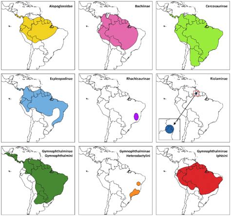 Distribution Maps Of The Major Groups Of Microteiid Lizards