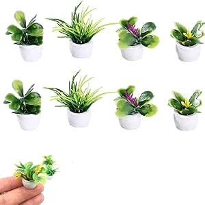 Plantes Miniatures Pour Maison De Poup E Maison De Poup E Miniature