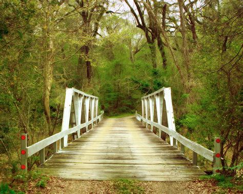 Wood Plank Bridge Photograph By Christine Harrison