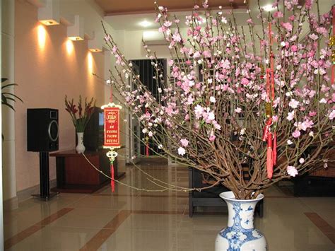 Trang Trí Nhà Ngày Tết đơn Giản đẹp Ý Tưởng Và Album ảnh