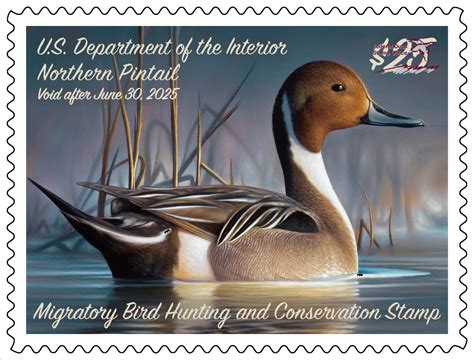 Collectors Edition Federal Duck Stamp Single Pressure Sensitive