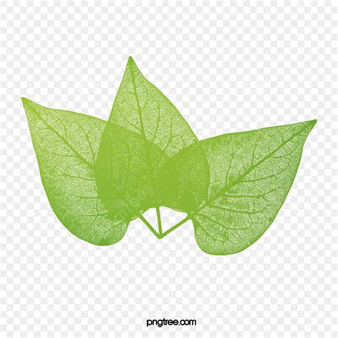 Mango Leaves Hd Transparent Mango Leaves Mango Clipart Mango Leaves