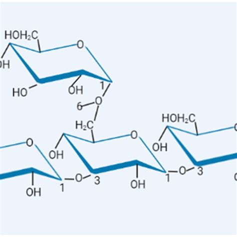 Basic chemical structure of branched βglucans main chain 1 3 Glc