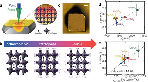 浙江大学王伟烈Adv Sci综述卤化物钙钛矿热传输特性的最新进展及其在热电学方面的潜力和挑战