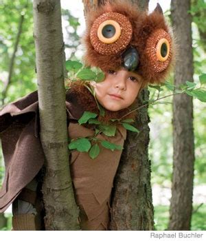 Handmade owl costumes - Really Awesome Costumes