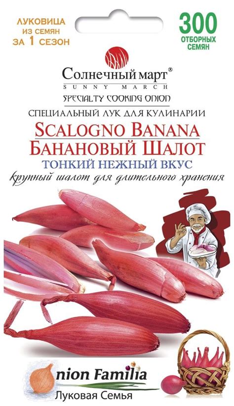 Семена лука Банановый шалот ─ купить в интернет магазине в Украине