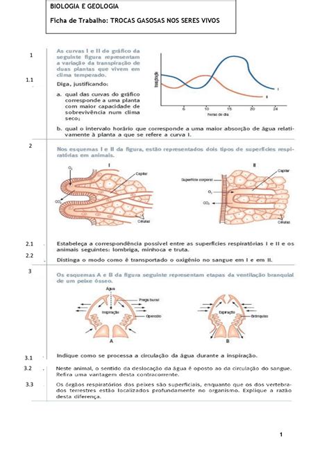Ficha trocas gasosas - Docsity