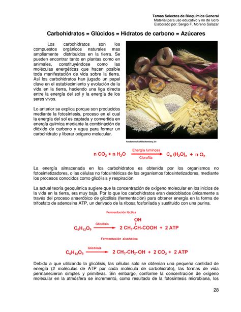 2 Carbohidratos Glúcidos Hidratos De Carbono Azúcares Material Para Uso Educativo Y No De