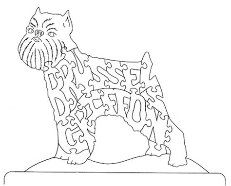 Brussels Griffon Fox Chapel Publishing Co