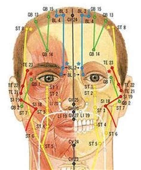 Head Meridians Için Resim Sonucu Meridian Acupuncture Acupuncture