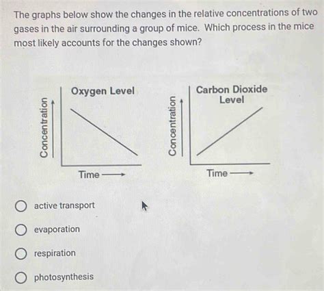 The Graphs Below Show The Changes In The Relative Concentrations Of Two