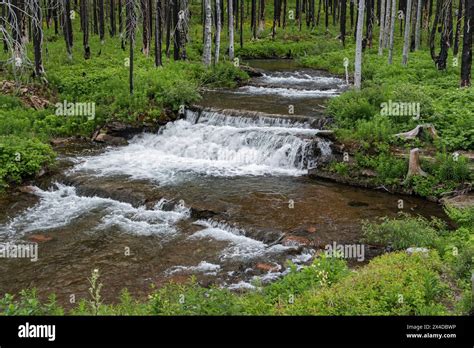 Canada Alberta Waterton Lakes National Park Waterfalls On Cameron
