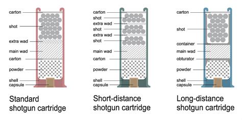 Shotgun Shell Diagram