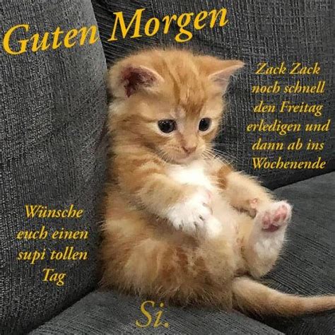 Pin Von Sabine Biincee Auf Guten Morgen Guten Morgen Katze Lustige