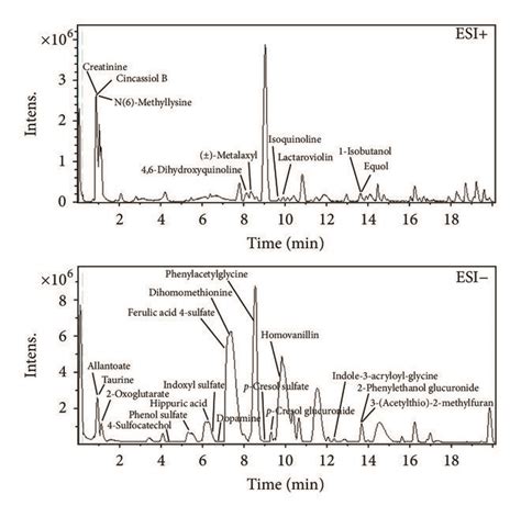 Representative Base Peak Chromatograms Obtained From Urine In Esi⁺ And Download Scientific