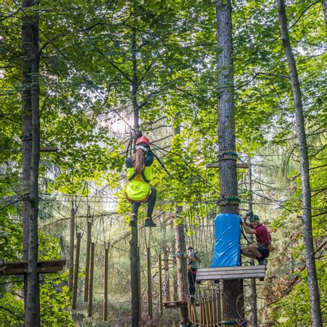 Il Parco Avventura E Divertimenti Di Civenna