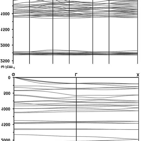 The Phonon Dispersion Relations For Polymorphic F Dd2 Top And