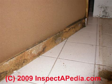 Bathroom Mold Removal And Prevention