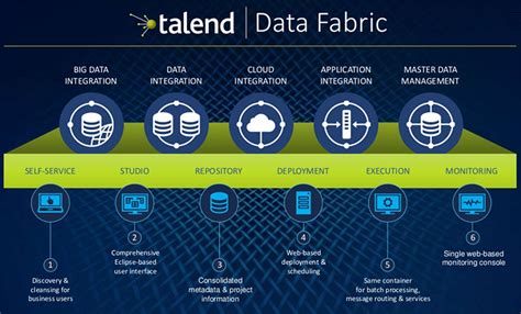 Data Fabric Data Standards