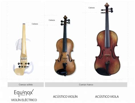 Comparación De Violín Y Violonchelo Características Y Diferencias