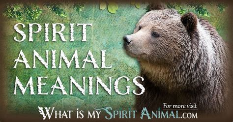 What Is My Spirit Animal | Spirit, Totem, & Power Animals