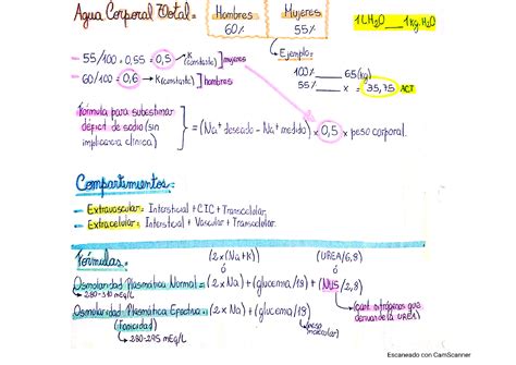 Solution Agua Y Electrolitos Studypool