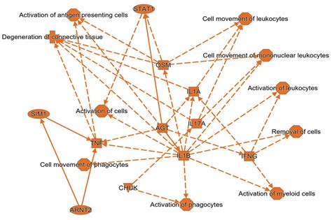 The summary graph of upstream regulators. | Download Scientific Diagram 