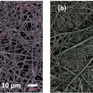 Cho Cells On Pure Pan Nanofiber Mats Electrospun A And Carbonized B