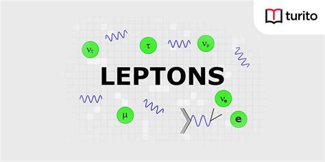 Lepton - Definition, Types, and Properties|Turito