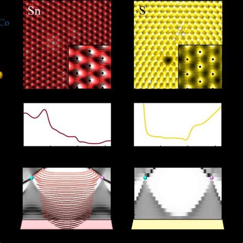 Diverse Surface Band Structure On Sn S Co Terminations Of Co Sn S