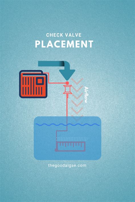 Check Valve Placement Diagram Air Pump The Good Algae