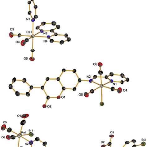 Ortep Representation Of Left From Top To Bottom Ligands L 1 L 2 Download Scientific