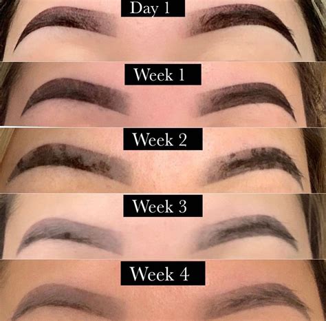 Microblading Healing Process Stages Of Recovery