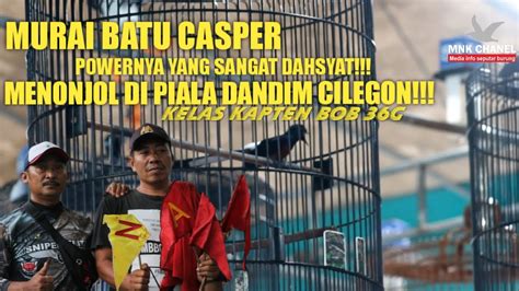 Murai Batu Casper Powernya Yang Sangat Dahsyat Menonjol Di Piala Dandim