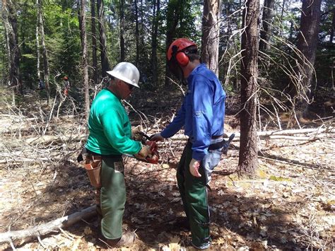 New Woodland Owners — Maine Woodland Owners