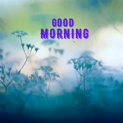 500+ Beautiful Good Morning Images Wallpaper HD