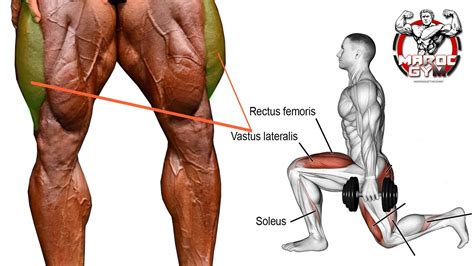 5 Leg Exercises Targeting The Vastus Lateralis Outer Side Of The