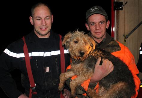 Lisle en Rigault Lisle en Rigault César libéré du terrier