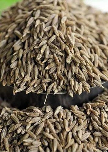 Brown Cumin Seeds Jeera Kg At Rs Kg In Delhi Id