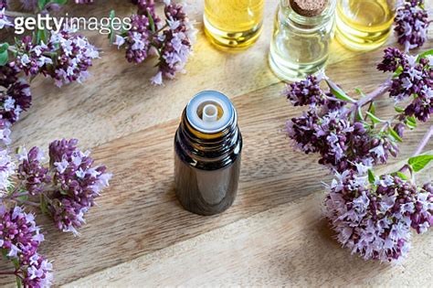 A Bottle Of Oregano Essential Oil With Fresh Blooming Oregano