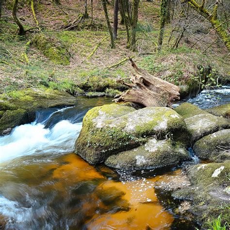 Image Of La Mare Aux F Es Huelgoat Forest